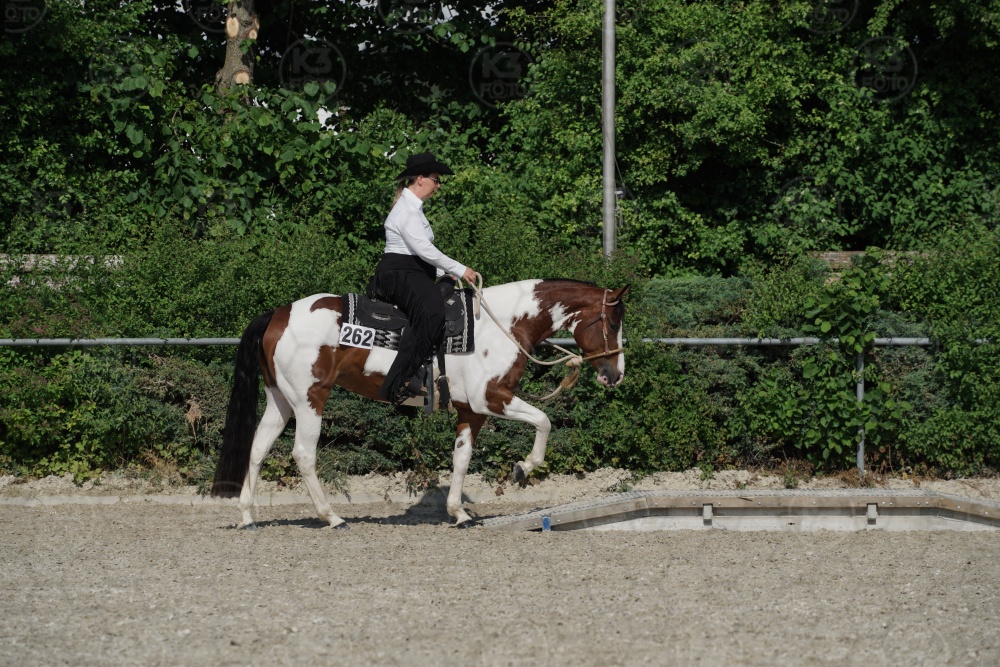 s_APF06676.jpg